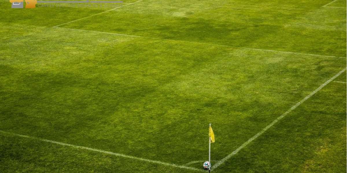 Artificial Turf Market Report (COVID-19 Analysis) by Worldwide Market Trends & Opportunities and Forecast to 2028