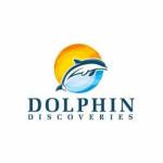 Dolphin Discoveries profile picture