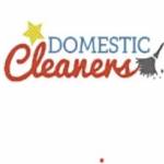 House Cleaning London Profile Picture