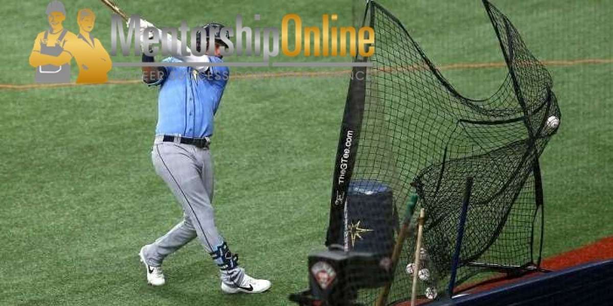 How to Choose the Best Baseball Nets for Sale