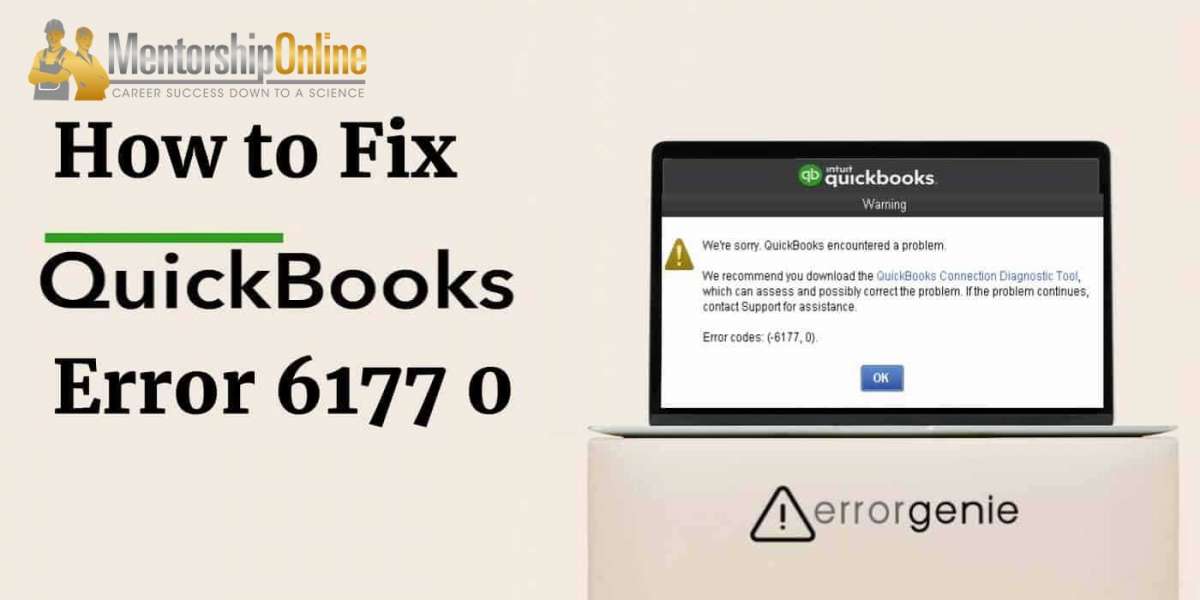 Quickbooks error code 6177