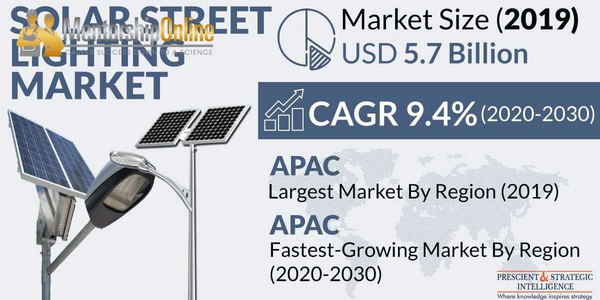 Falling Prices of Solar Panels Fueling Sales of Solar Street Lighting Systems